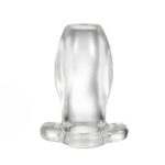 Plug Anal Tunnel
